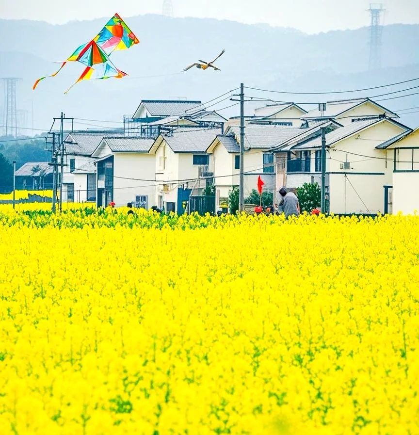文旅的虚假繁荣：伪流量狂欢背后，泡沫在破裂。